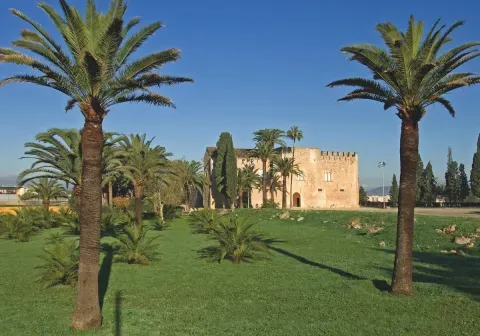 Pla Director 2024-2032